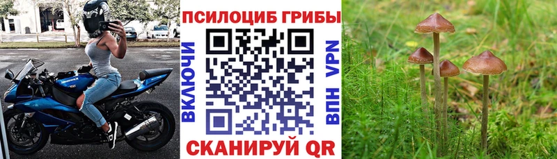 ссылка на мегу как зайти  где купить наркотик  Чебаркуль  Псилоцибиновые грибы ЛСД 